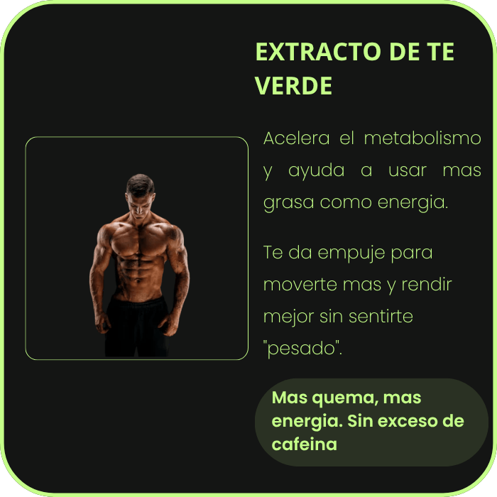 MenLab Tarjeta